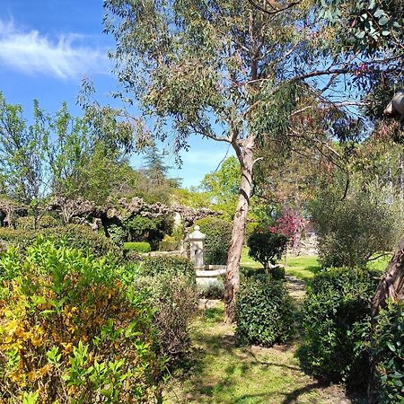 Villa L'Arbre Du Magnan à Chandolas Extérieur photo